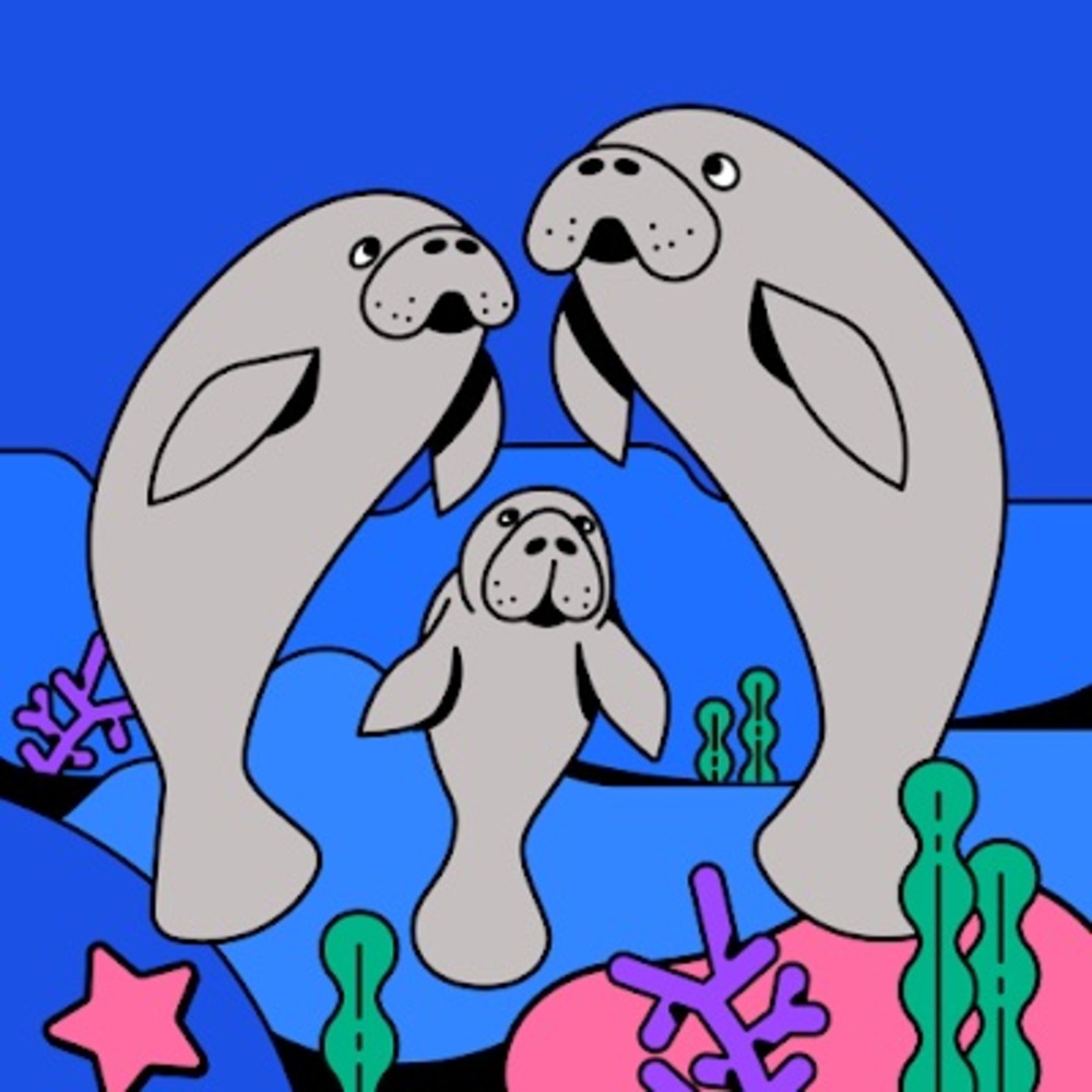 Meet your Posher, Hope